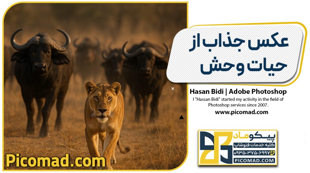 عکس جذاب از حیات وحش